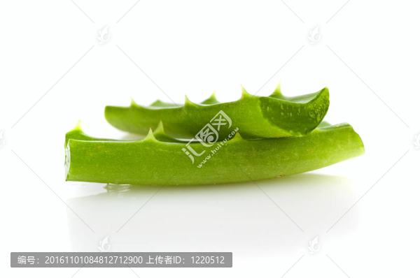 保健和身體治療
