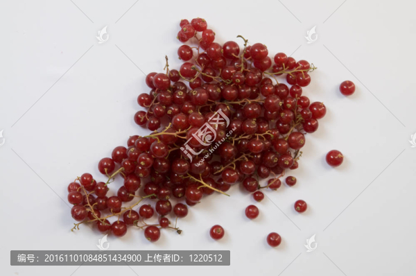 紅醋栗