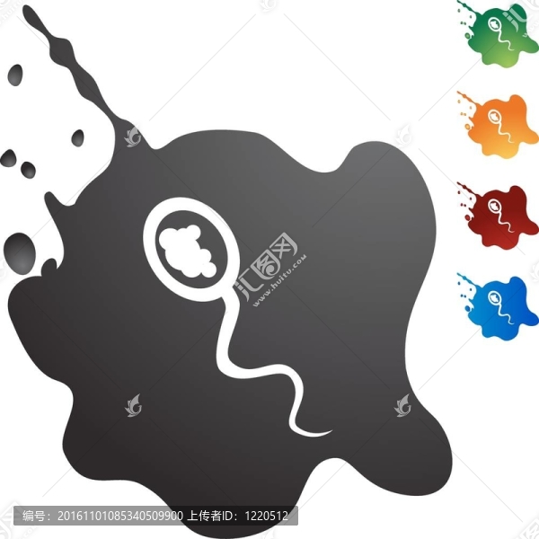 精子細(xì)胞