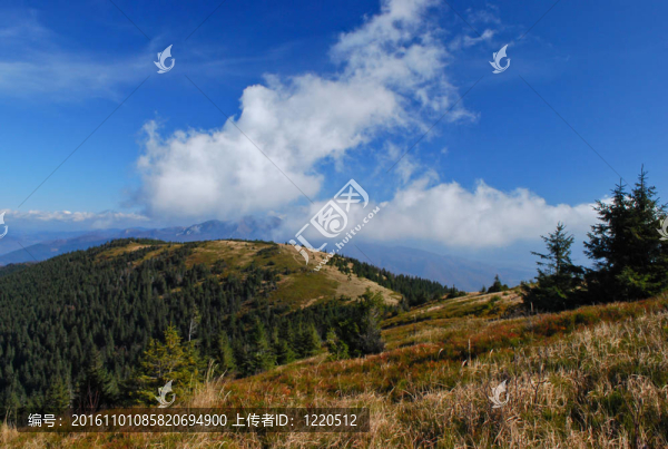 高高的山上的風(fēng)景