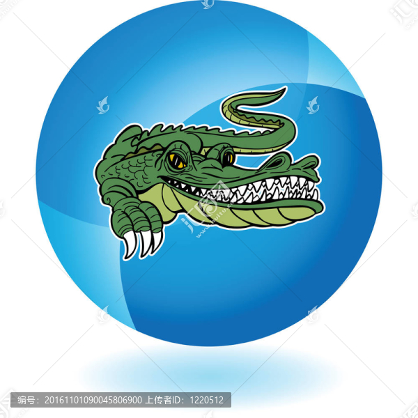 鱷魚(yú)