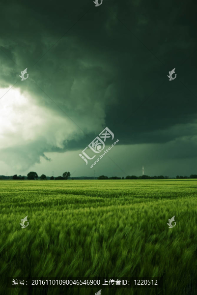 在一場(chǎng)雷雨云