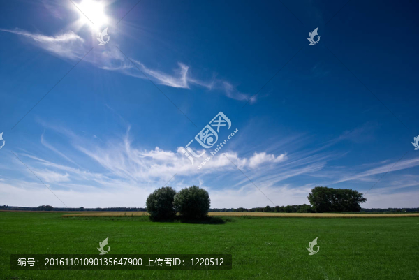 綠色的草地和陽(yáng)光；蔚藍(lán)的天空