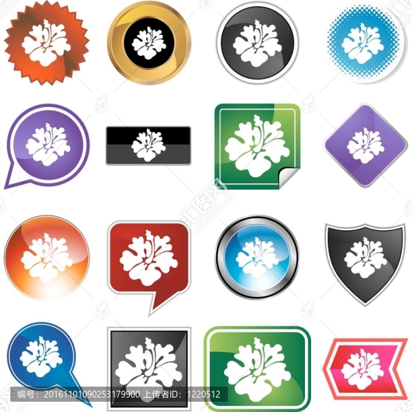 木槿-匯圖網(wǎng) www.fosd68.com 木槿