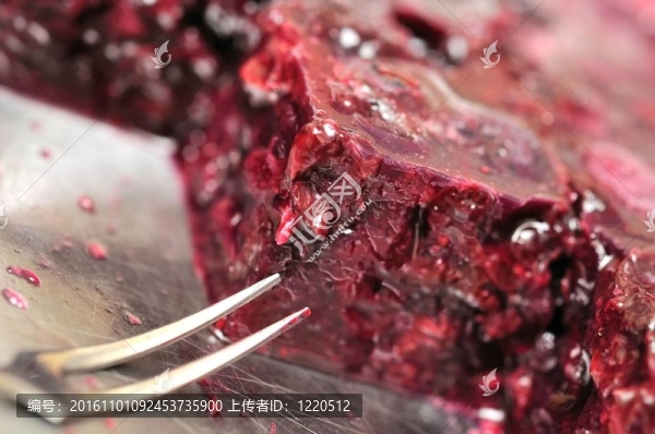 水果甜點(diǎn)特寫(xiě)