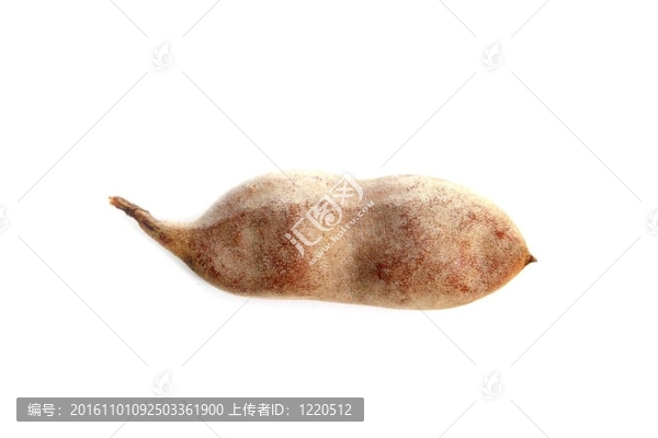 羅望子羅望子豆莢分離