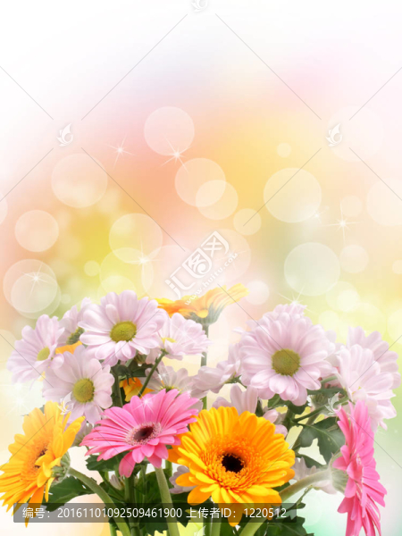 春天的花朵
