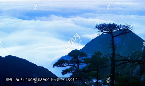 Sanqingshan的云霧