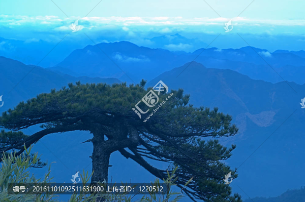 Sanqingshan的云霧