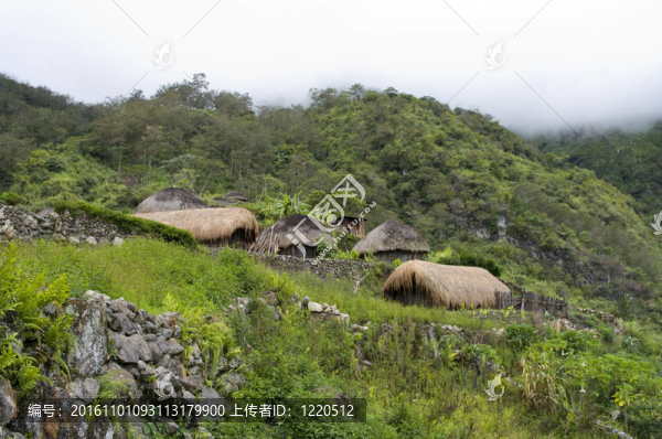 巴布亞的一個傳統(tǒng)村落