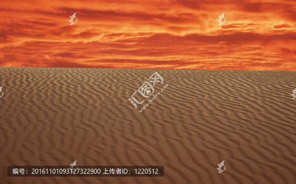 沙丘景觀