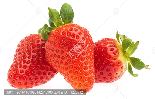 草莓