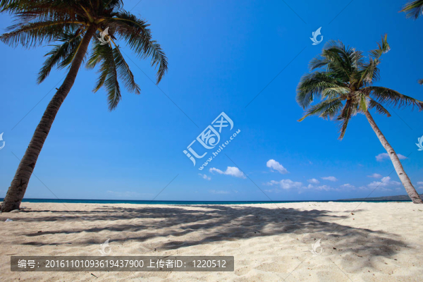 熱帶海灘上的棕櫚樹(shù)