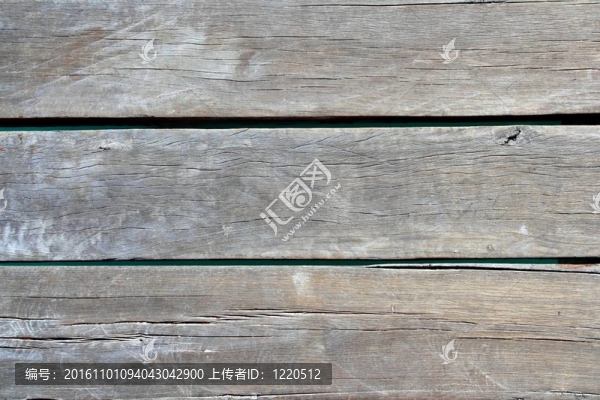 老年熱帶墩木結(jié)構(gòu)