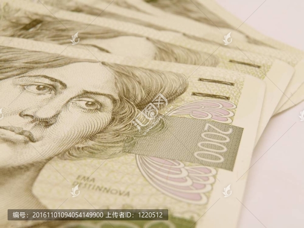 捷克korunas,CZK（捷克共和國(guó)法定貨幣）的紙幣