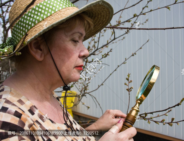 一個女人在尋找櫻桃枝？EST