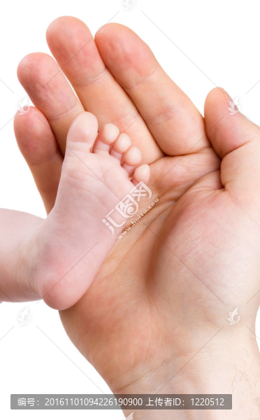 初生女嬰的小腿在父親的大手上；在白色背景上孤立