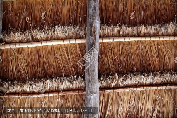 但傳統(tǒng)的天窗從上面wiev,PALAPA