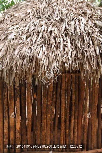 但墨西哥叢林瑪雅房屋頂壁PALAPA