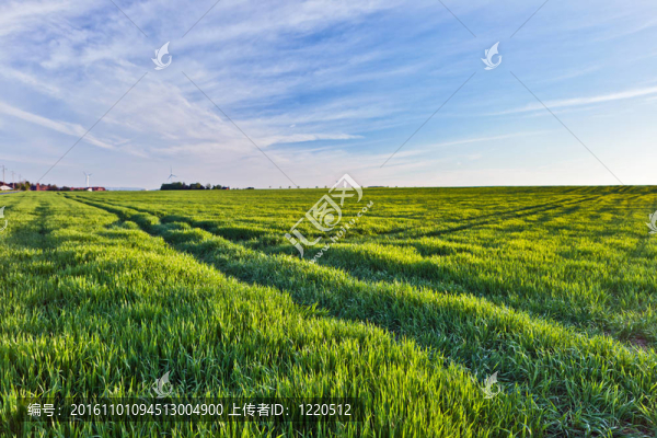 一個(gè)夏天的風(fēng)景-匯圖網(wǎng) www.fosd68.com 一個(gè)夏天的風(fēng)景