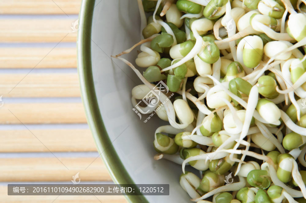綠豆豆芽碗