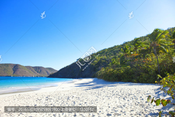 肉桂灣；美國處女群島