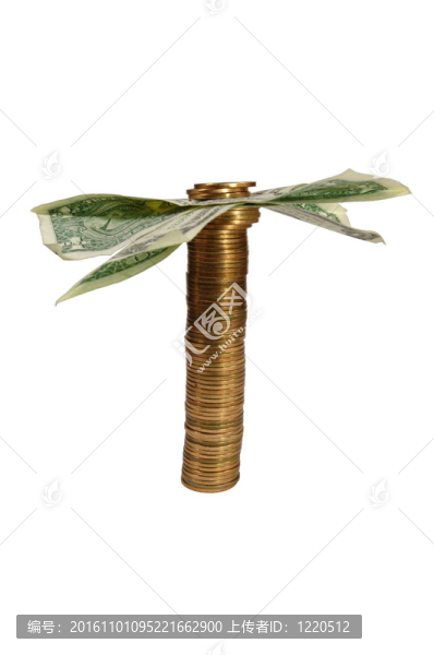 美元的棕櫚樹