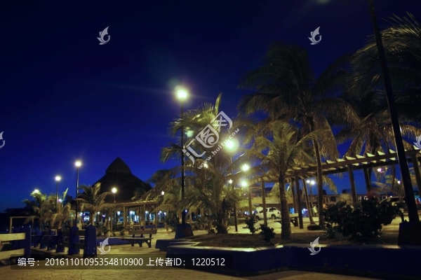 莫雷洛斯港的夜晚瑪雅海濱的棕櫚樹