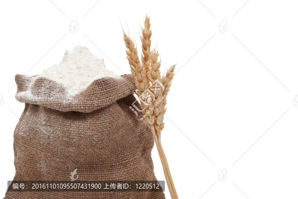 面粉和小麥穗