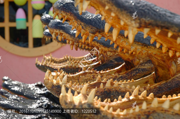 牙齒