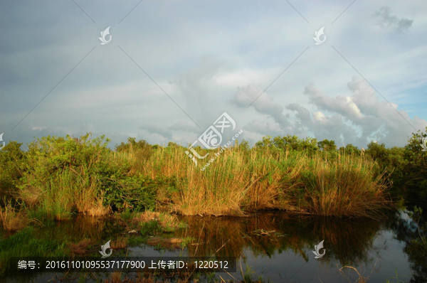 大沼澤地國家公園