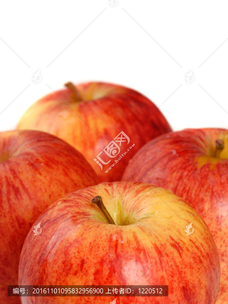 四有機(jī)小蘋果與淺景深孤立的白色-匯圖網(wǎng) www.fosd68.com 四有機(jī)小蘋果與淺景深孤立的白色