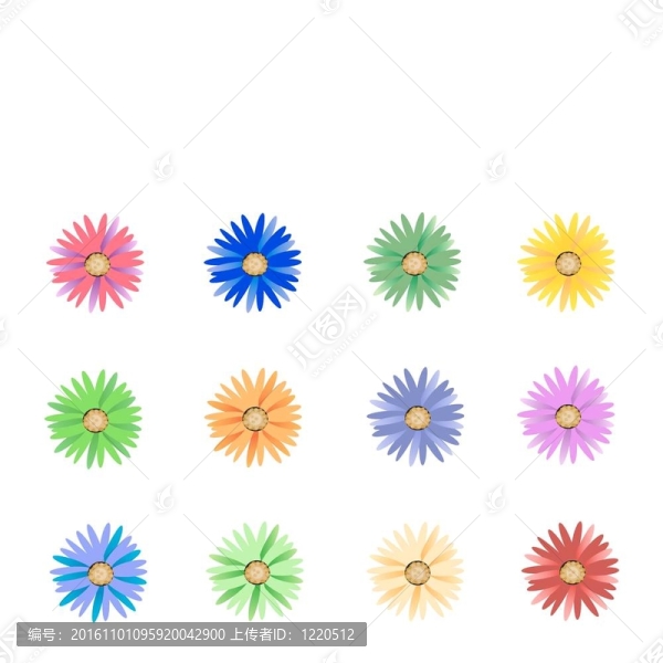 五顏六色的花朵