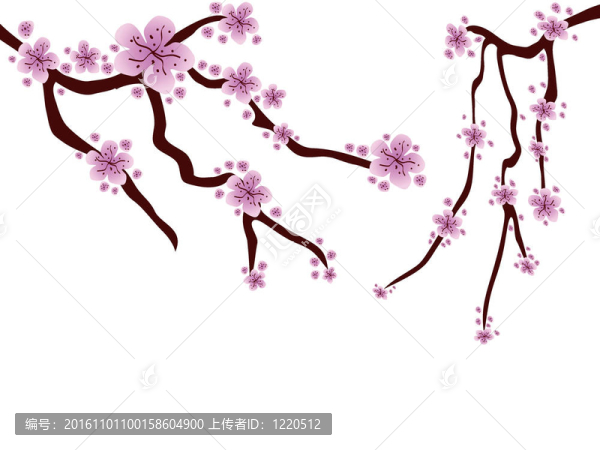 梅花