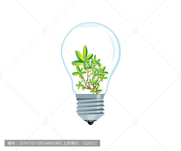 溫室里的植物