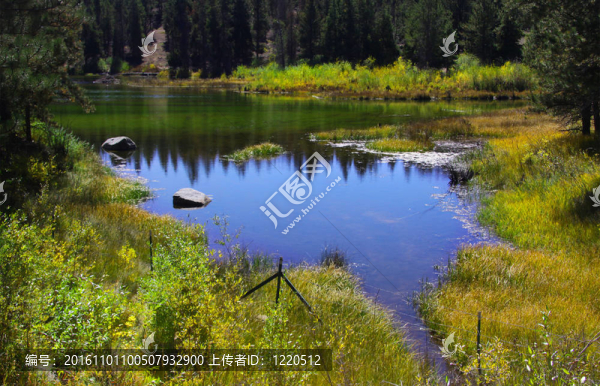 風景優(yōu)美的池塘