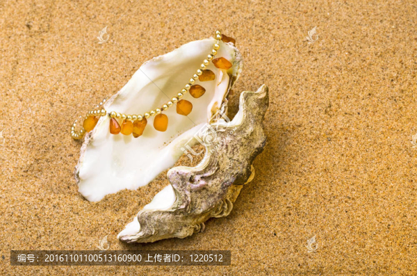 貝殼與珍珠珠和琥珀