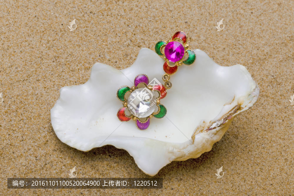 海貝殼