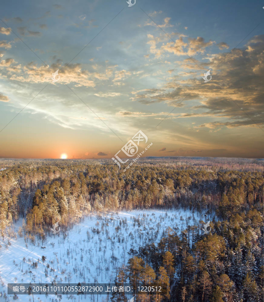 森林深處的日落