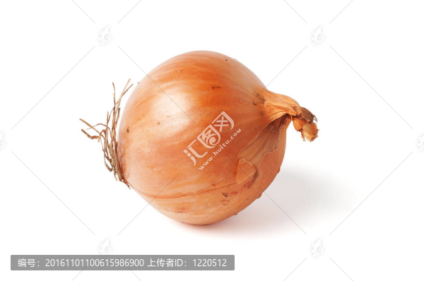 白色洋蔥鱗莖