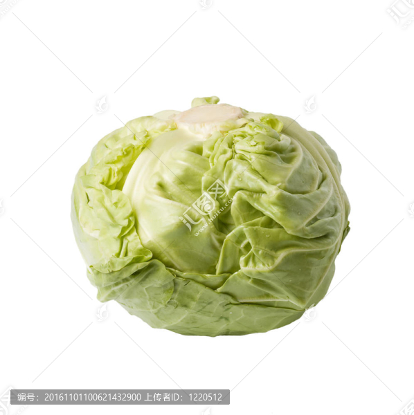 白鮮白菜頭