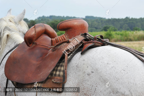求購(gòu)馬鞍