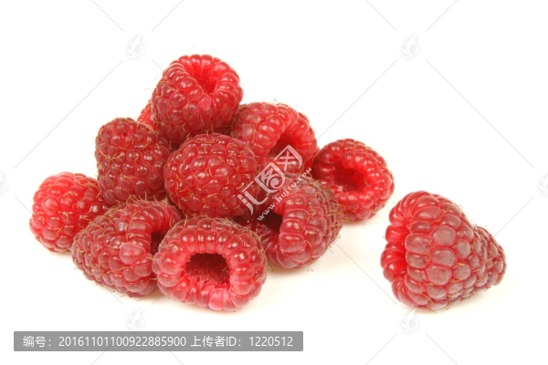 孤立的覆盆子