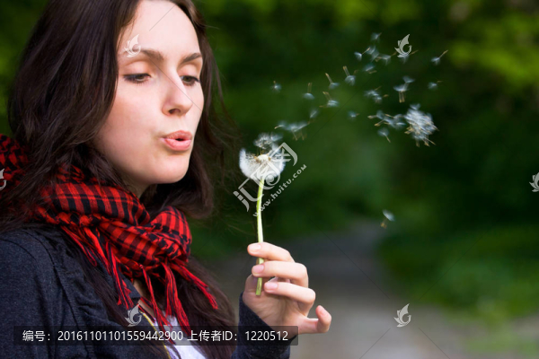女孩與蒲公英
