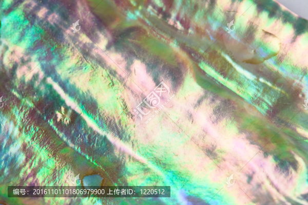 珍珠母背景
