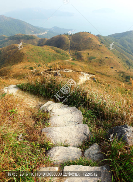山間小道