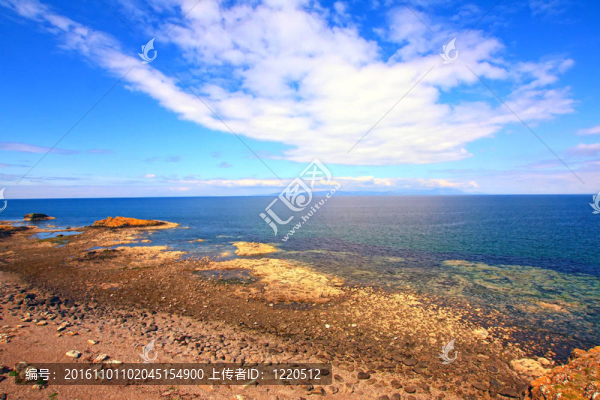 在Ayrshire的海邊；蘇格蘭