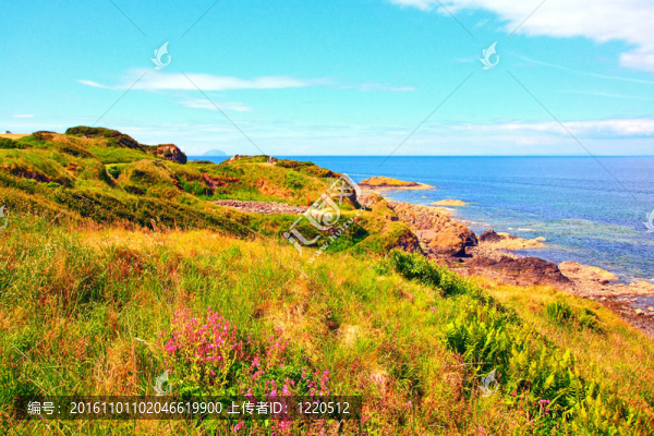 在Ayrshire的海邊；蘇格蘭