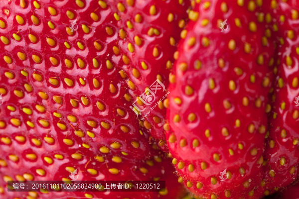 微距特寫全框鮮紅色突變草莓
