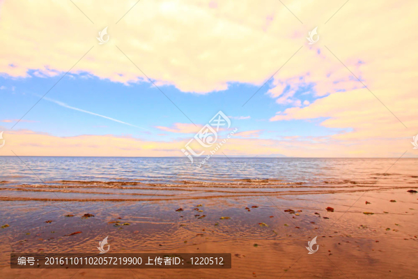 在Ayrshire的海邊；蘇格蘭